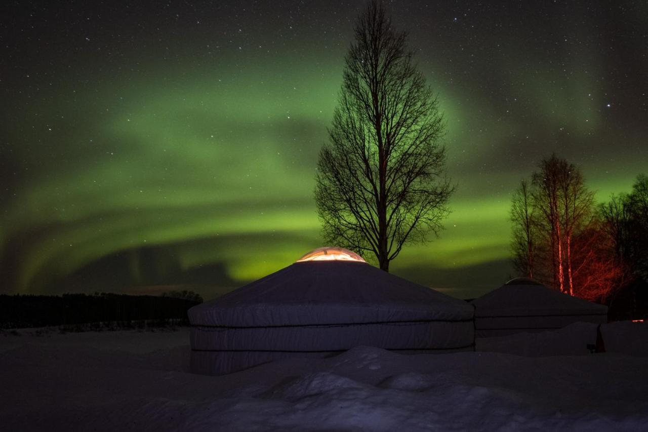 Yurt District Hotell Rovaniemi Eksteriør bilde